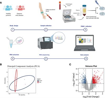 Identification of Potential Genes in Pathogenesis and Diagnostic Value Analysis of Partial Androgen Insensitivity Syndrome Using Bioinformatics Analysis